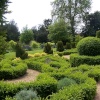 More Buxus shapes