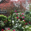 Wightwick Manor with springtime blooms
