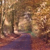 Country lane