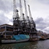 Cranes.
