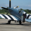 Spitfire