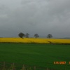 Fields in Scotland