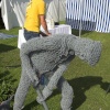 Driffield Show001