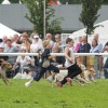Driffield Show0013