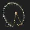 Delight at Night