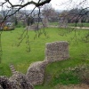 Berkhamsted Castle