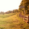 The fence and the fingerpost.