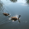 Rickmansworth
