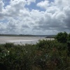 Camel Estuary
