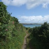 Coastal Path near Padstow