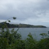 Trebah Garden