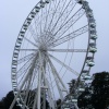 Windsor