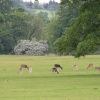 Park