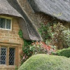 Thatched roof