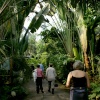In the tropical rain forest.