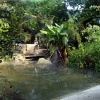 The lake in the tropical rain forest.