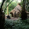 Hut in the jungle.