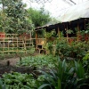 Fancy living in the tropical rain forest?