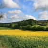 The Teme Valley near Clifton Upon Teme