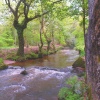 Luxulyan Valley
