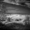 Infrared view to the North East, Lodge Hill, Bledlow Ridge, Bucks