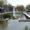 Watford