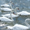 Rickmansworth