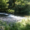 The River Dove August 2007