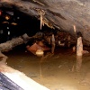 This was all formed by water.