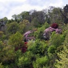 The Edge of Exmoor