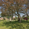 Sledmere House 8