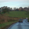 Sheep near Oswaldkirk, North Yorkshire