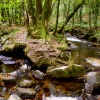 One of many small streams running into the river.
