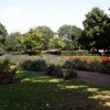 All thats left of the gardens.