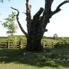 Lotherton Hall West Yorkshire