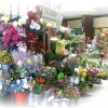 Flower shops