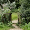 The gate.