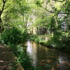 North Cave Beck