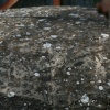 Glacial boulder outside the museum