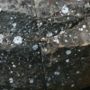 Glacial boulder