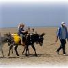 St Annes beach