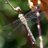 Just hanging about.