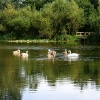 Family out for the evening sun.