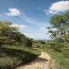 The Ashridge Estate above Ivinghoe, Bucks