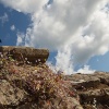 Stone wall in Dinton, Bucks