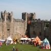 In the Castle Grounds