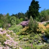 The House and gardens at Cragside.