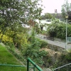 Same garden