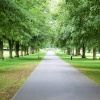 Himley Park