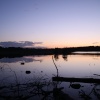 Delamere Sunset June 2009 - Photo 2